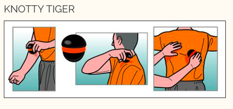 Tiger Tail 3" Knotty Tiger