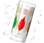 BistroTea Classic Collection - Assorted (Canister - 16 TPODS)