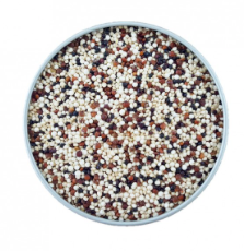 Organic Tricolor Quinoa (Option of 500g / 1kg)