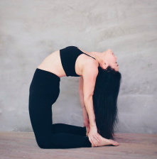 Private Yoga / Pilates Classes (More options available)